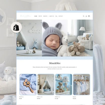Custom Dropshipping Store